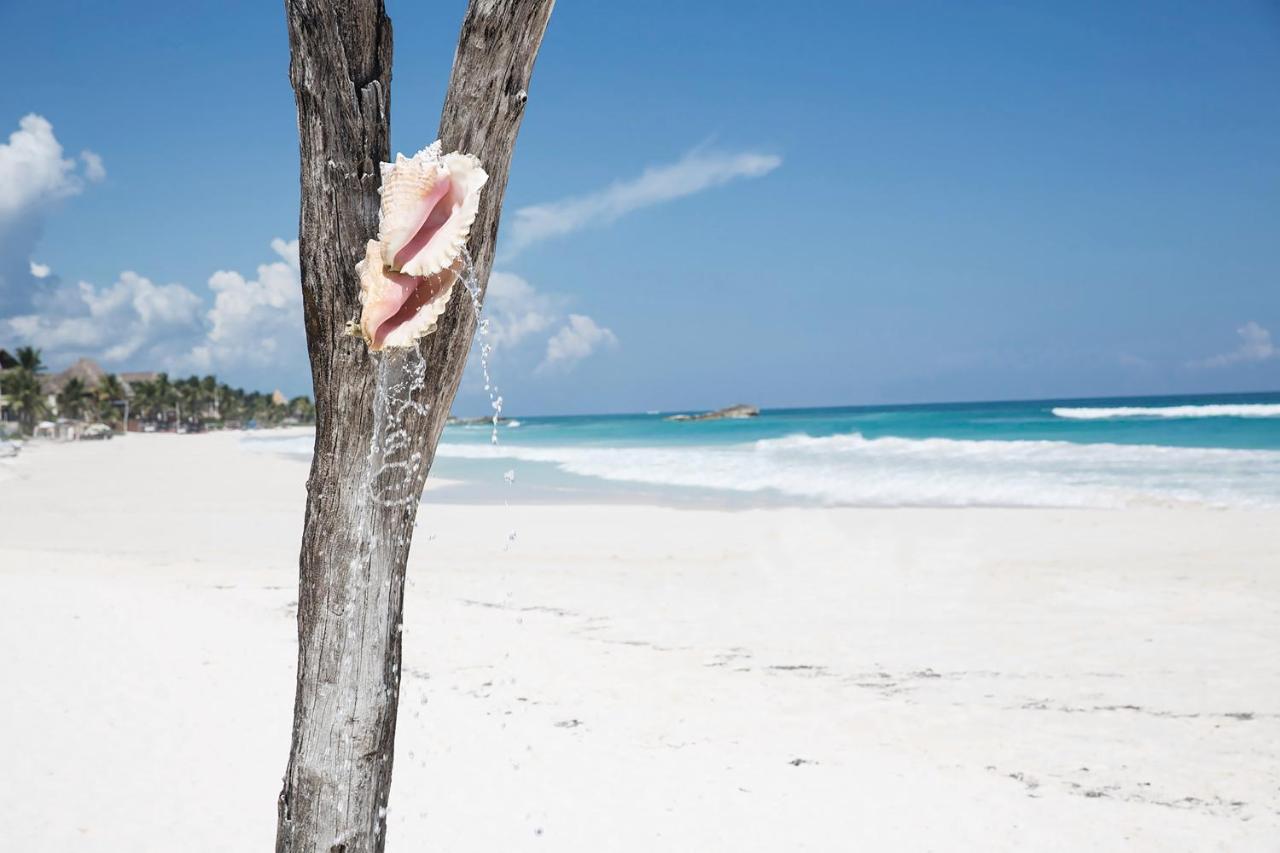 Coco Tulum Beach Club Hotel エクステリア 写真